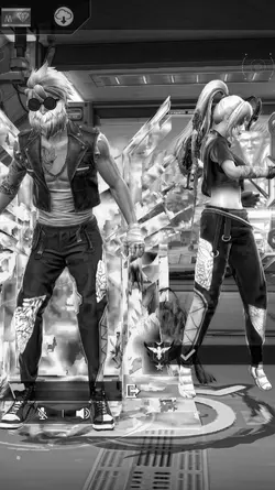 bw ver
