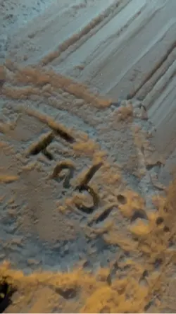 Inthesnow