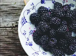 𝒟꯭єℓιϲ𖹭τє󠁄 ⺌