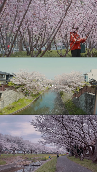 봄 미학 