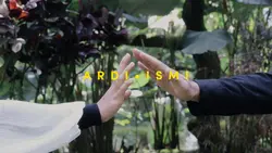 Prewedding cinematic