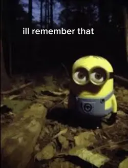 minion meme