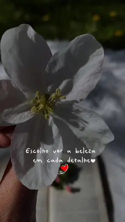 Beleza 