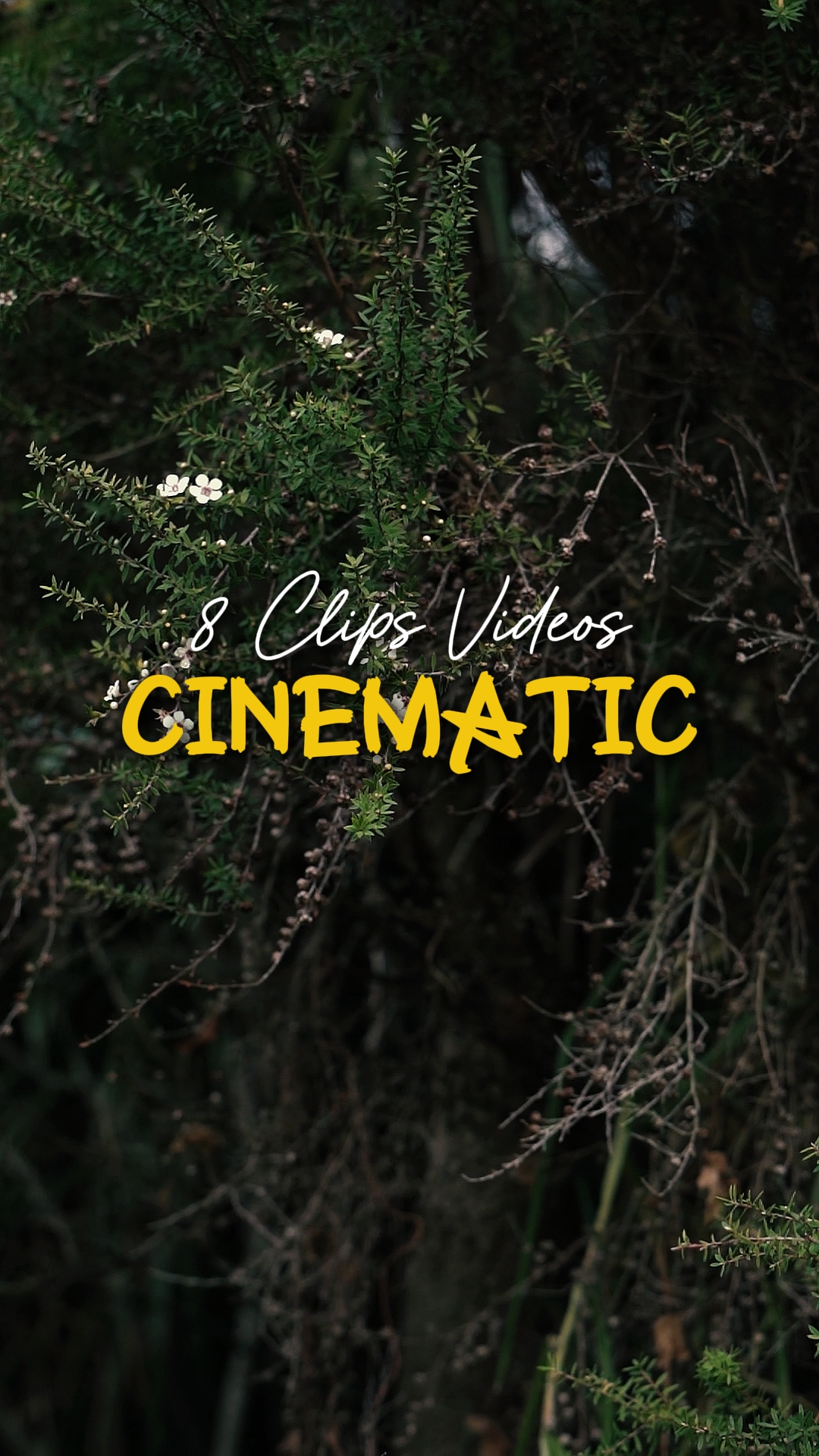 8 Videos Cinemáticos