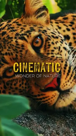 Wonder of nature