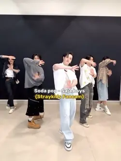 FANCAM