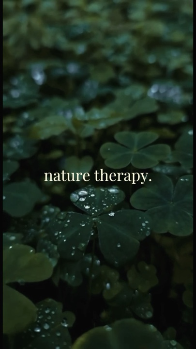 NATURE 4 VIDEOS
