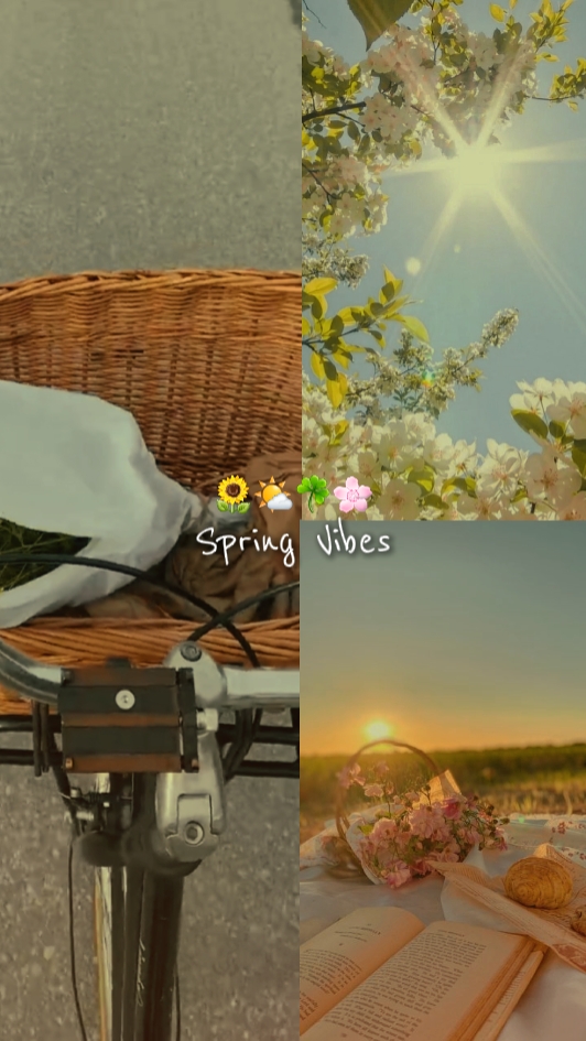 SPRING VIBES