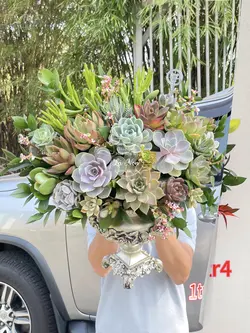 Nhạc cuốn up story