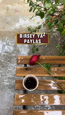 yazı yaz paylas