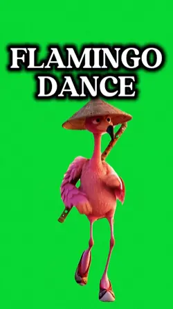 FLAMINGO
DANCE