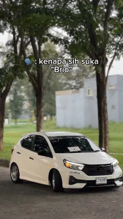 kenapa sih suka brio