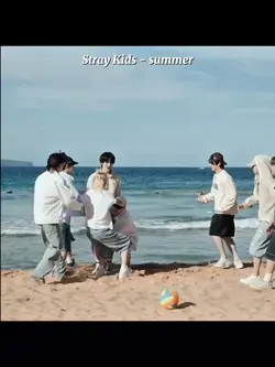 StrayKids Fancam