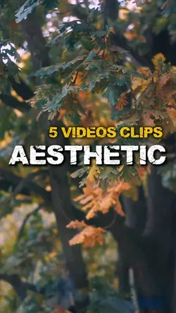 Aesthetic 5 Videos