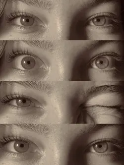 TREND OLHOS