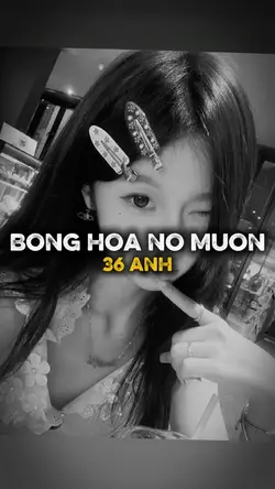 Bông Hoa Nở Muộn 