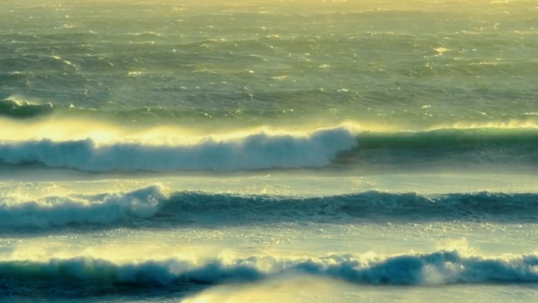 PLAGE?? 
