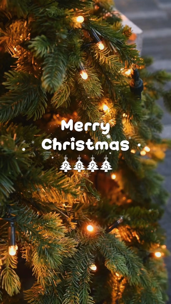 Feliz Navidad 🎄❄️