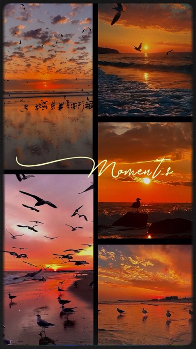 Moments to Memories 