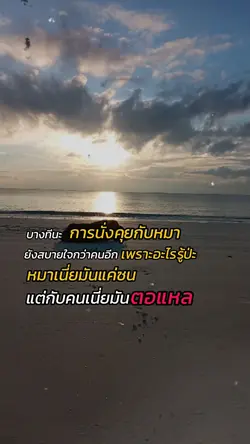 คุยกับหมาดีกว่า