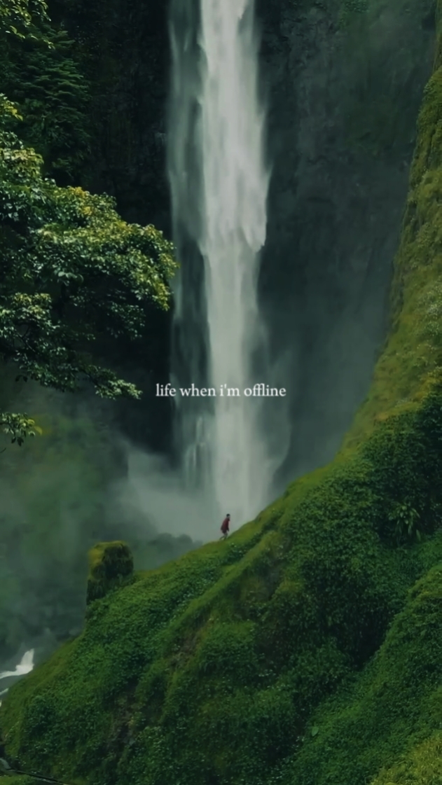 Life when im offline