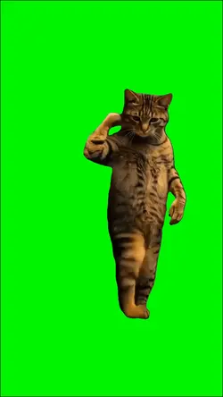 CAR ALARM CAT