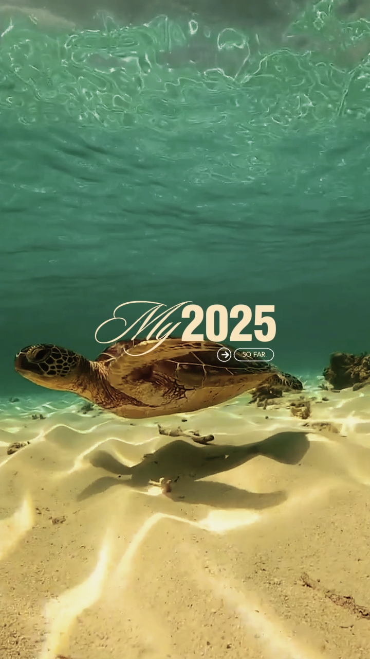 Şimdiye kadarki 2025 'im