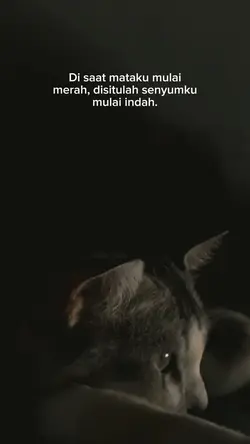 Mata merah..