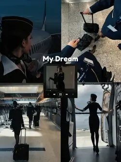 My Dream~air hostess