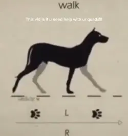 Therian Help vid 🥰