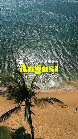 AUGUST 2026 SO FAR 💛