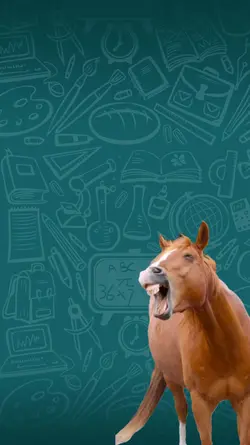 meme cavalo 