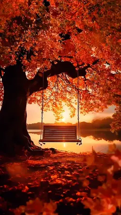 SlowMo sunnyDay ☀️☀️