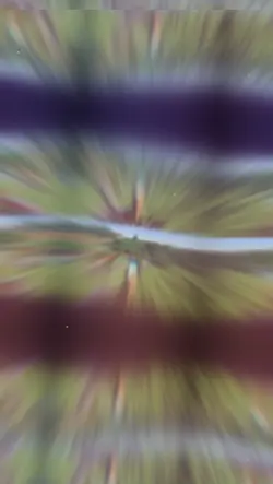 2 ảnh