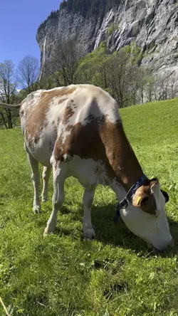 Lauterbrunnen suisse
