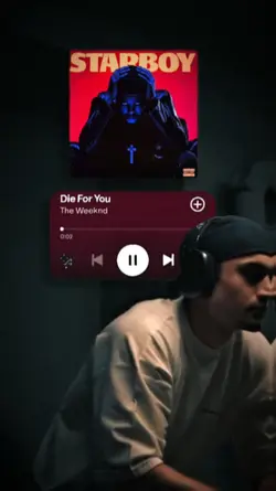 Spotify- Die For You