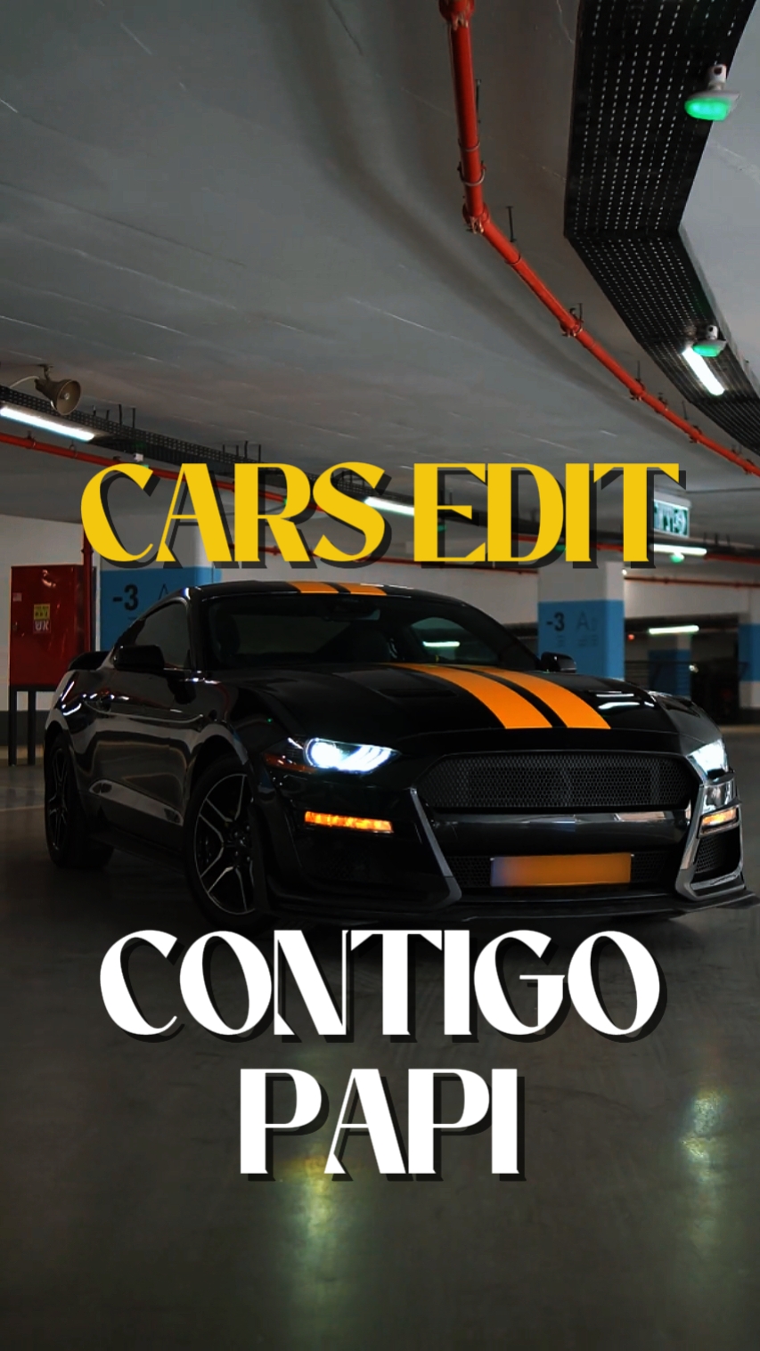 CONTIGO PAPI
