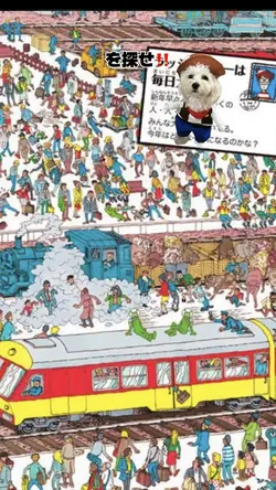 ○○を探せ‼️