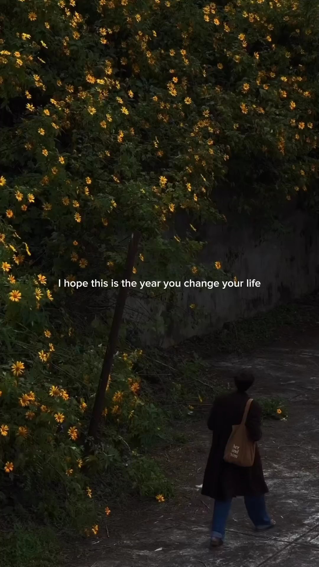 this is the year 