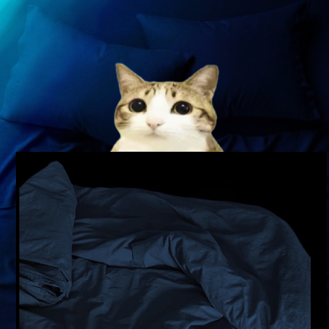 NEW TREND TEMPLATE