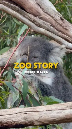 Zoo story