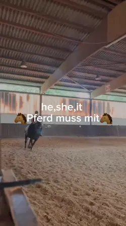 Horses