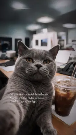 Caption + màu