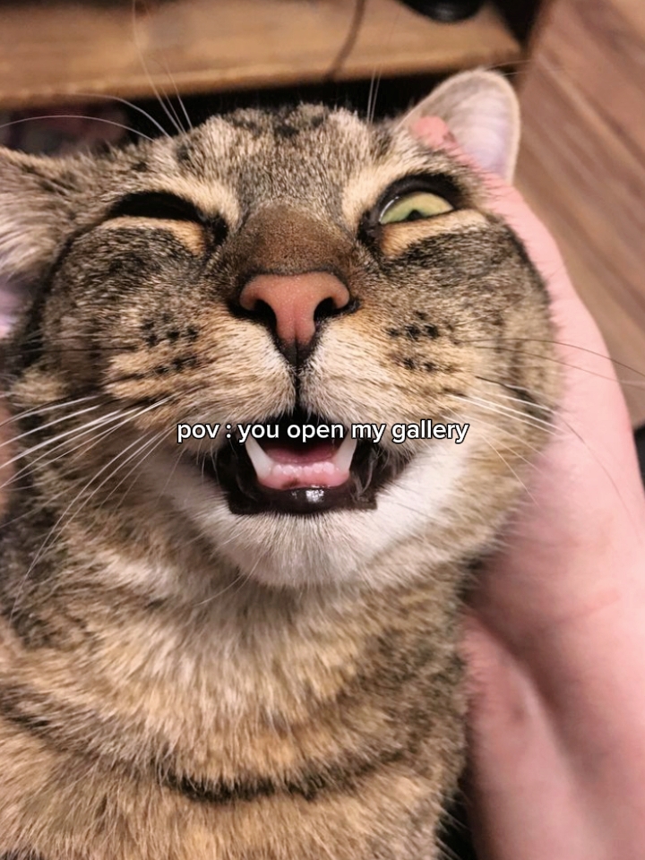 pov tu ouvres mon galeri