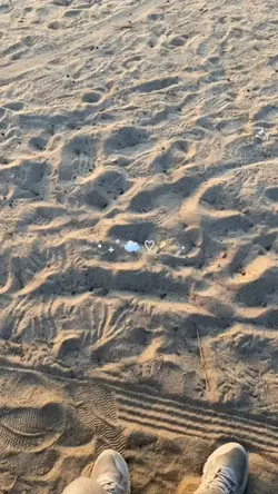 Video aesthetic 5vid