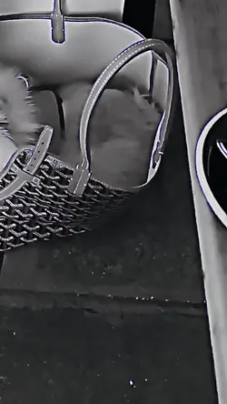 Üzücü Çalma Listesi Ayna Selfie