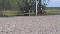 ahh, she's so bouncy