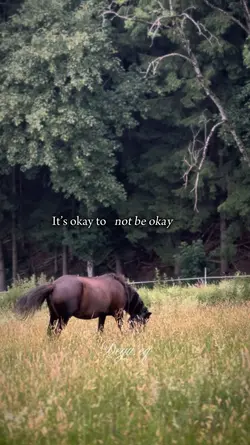 Itâs okay đ€