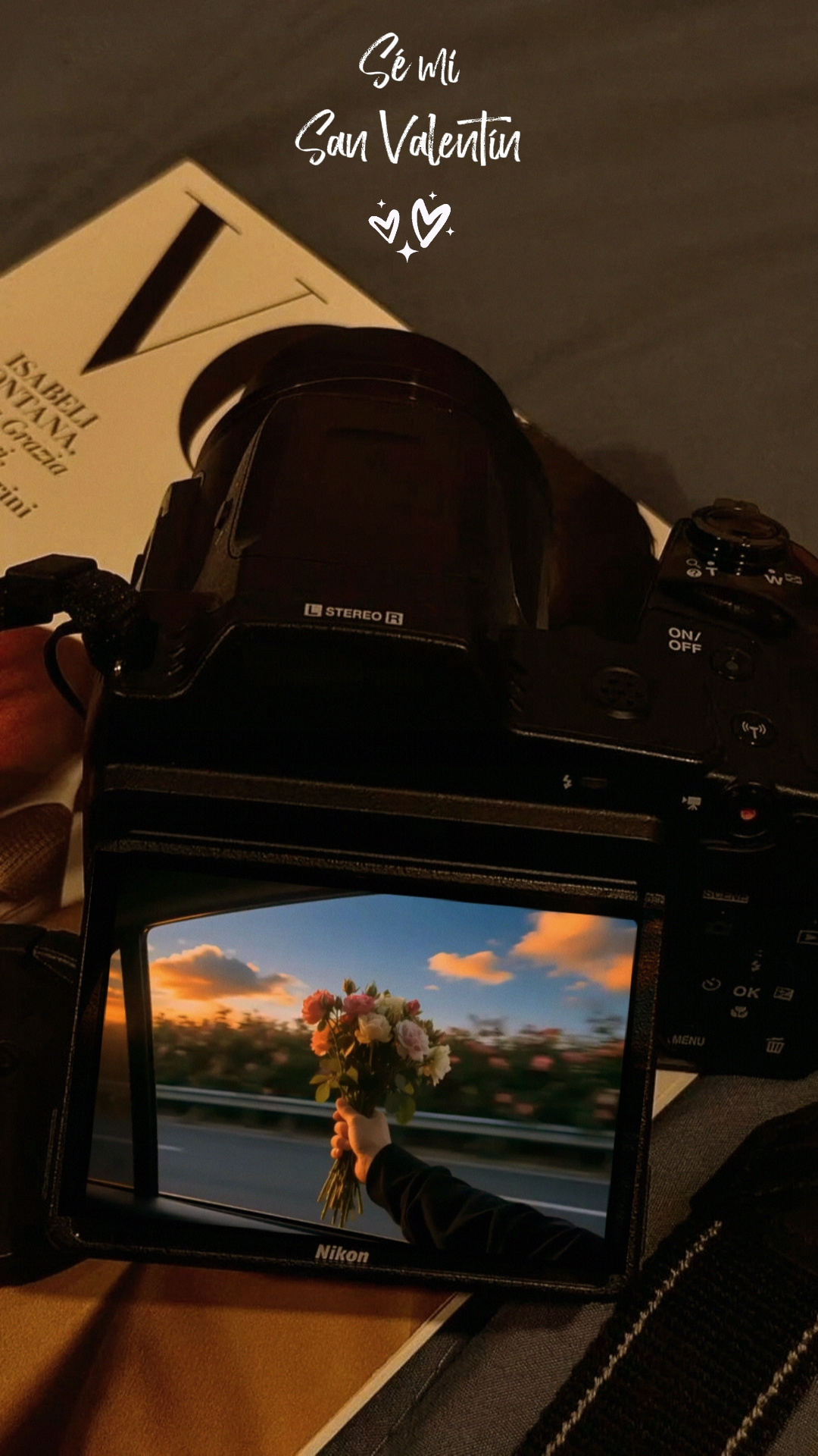 Cover Picture