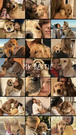 Dog bestfriend 